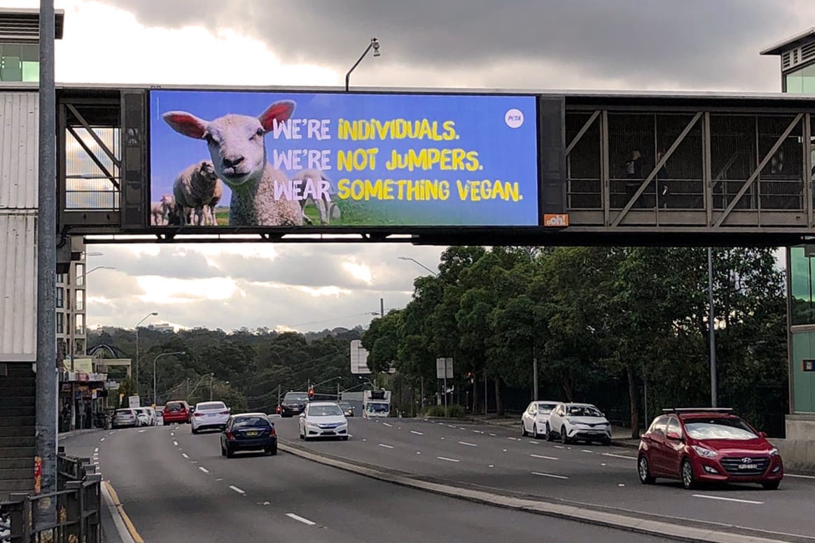 Peta Spreads Anti-wool Message Across Sydney - Peta Australia