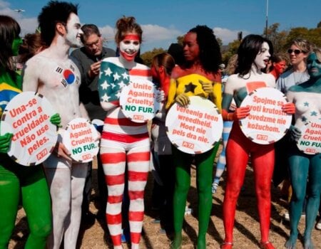 World Cup Flag Demo, Hyde Park Johannesburg PETA