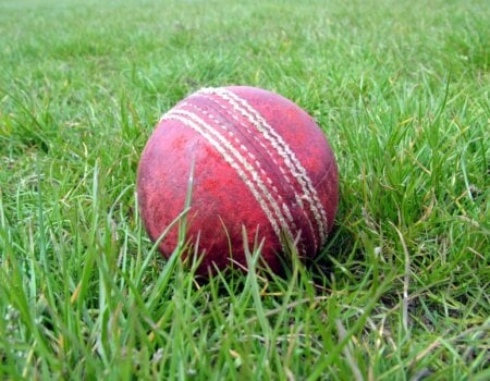 cricket ball