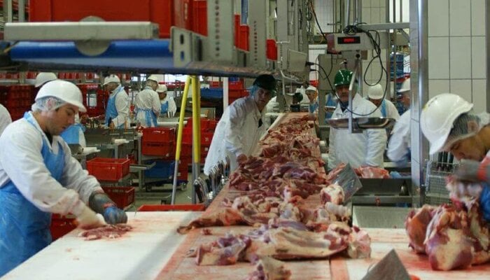 an abattoir