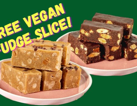 Vegan Fudge Slice from The Cheesecake Shop