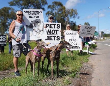 Protest against Greyhound track in Ipswich