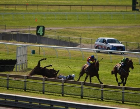 Horses Suffer and Die In Jumps Racing