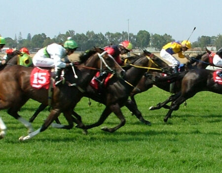 A photo of a horse race.