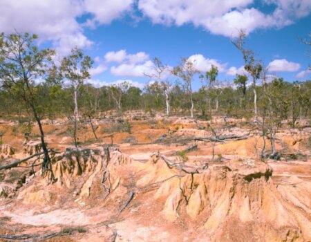 Wool Production Damages the Land