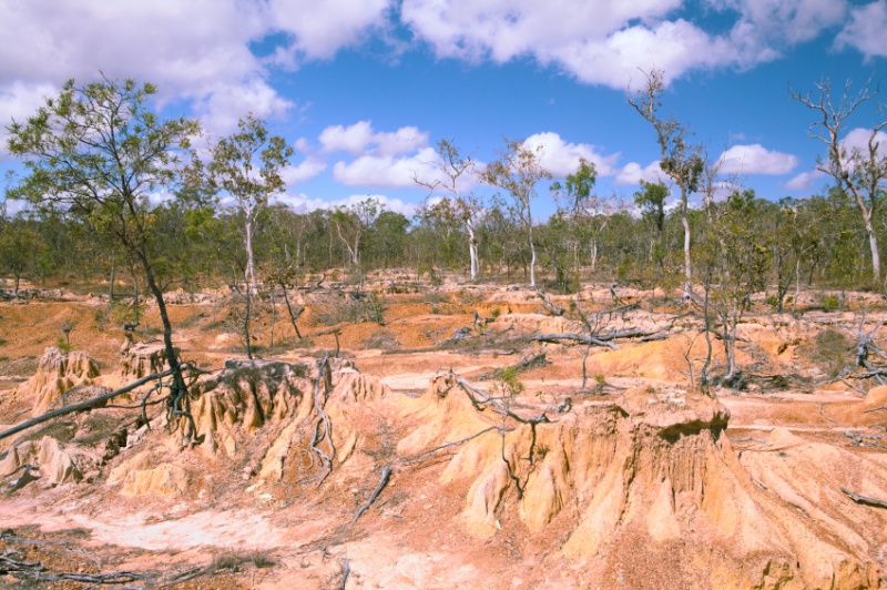 Wool Production Damages the Land