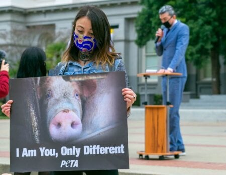 a woman protests with a sign that says "I am you, only different."