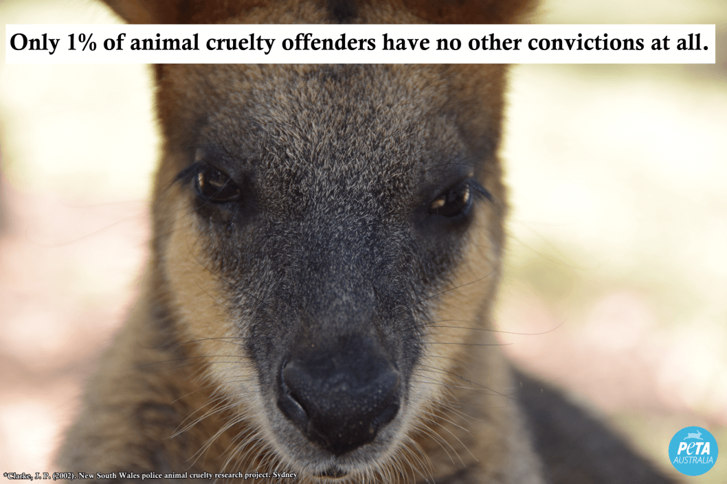 10 Animal Abusers Who Practically 