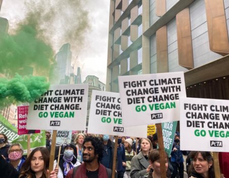 The Cop26 climate march in London.