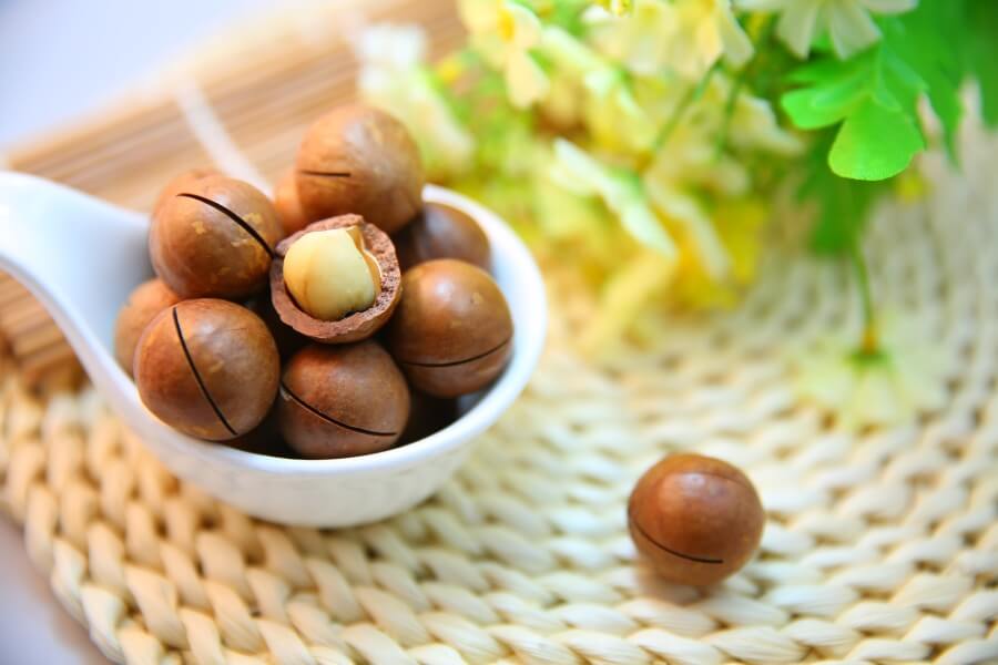 Macadamia nuts and dogs best sale