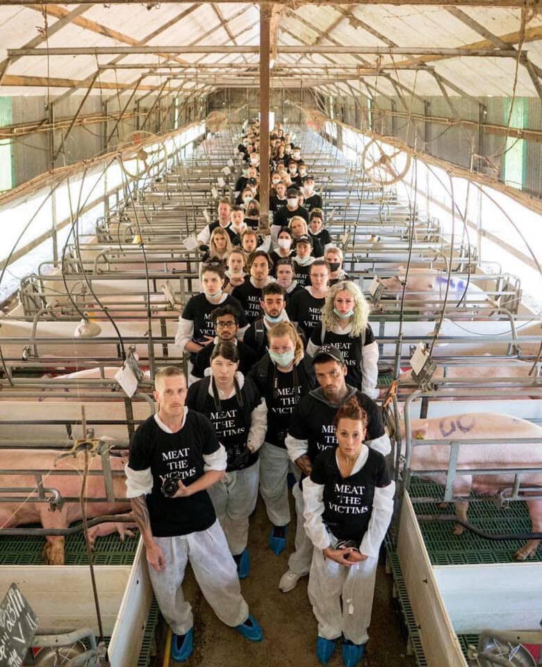 Activists at a piggery