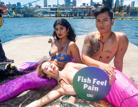 activists wearing mermaid tails and wrapped in fishing nets with hooks in their mouths.