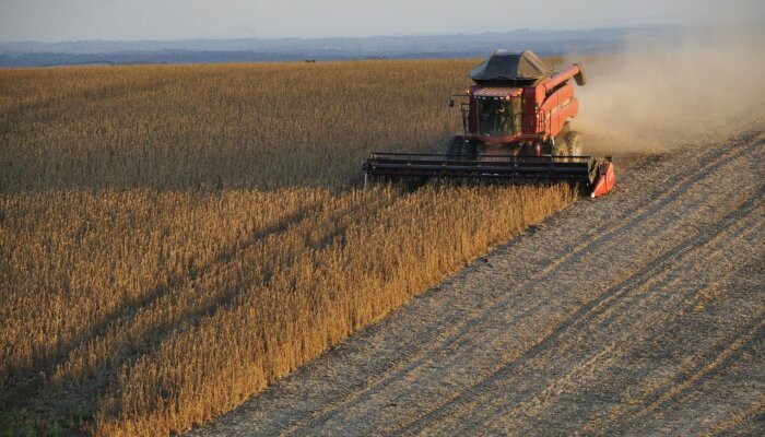 Is Soy Bad for the Planet?