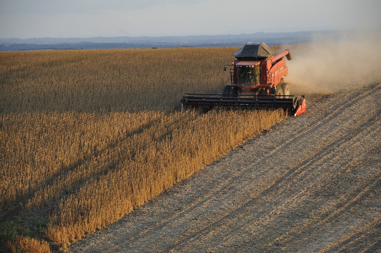 Is Soy Bad for the Planet?