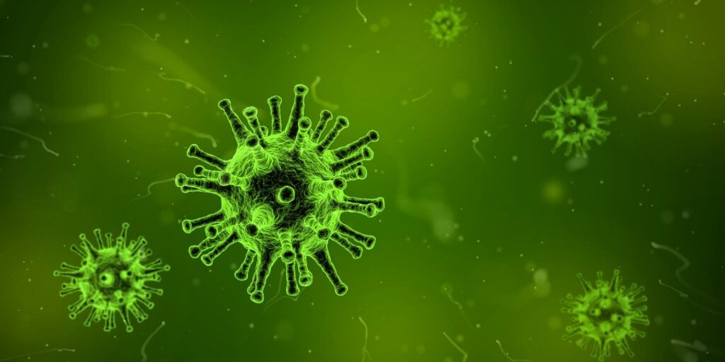 An image of a virus.