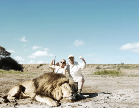 Lion Takes "Revenge" on Trophy Hunter