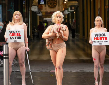 Three women stand in Melbourne's Bourke Street Mall. On the left, holding a sign that reads "Wool is as Cruel as Fur", the middle holding a prop lamb, the right with a sign that says "Wool Hurts"