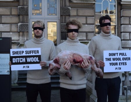 woolmark protest